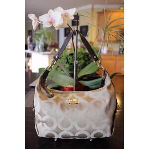 COACH 14337 Madison Hailey Op Art Signature Shoulder Bag (p500